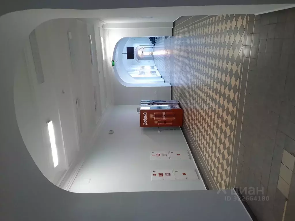 Помещение свободного назначения в Татарстан, Казань Кремлевская ул., ... - Фото 2