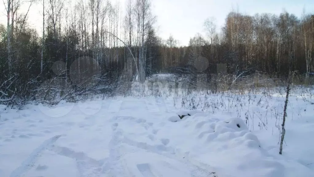 Участок 13,8 сот. (СНТ, ДНП) - Фото 0