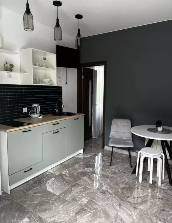 1-к кв. Краснодарский край, Сочи Мамайка мкр, ул. Волжская, 17/1 (30.0 ... - Фото 1