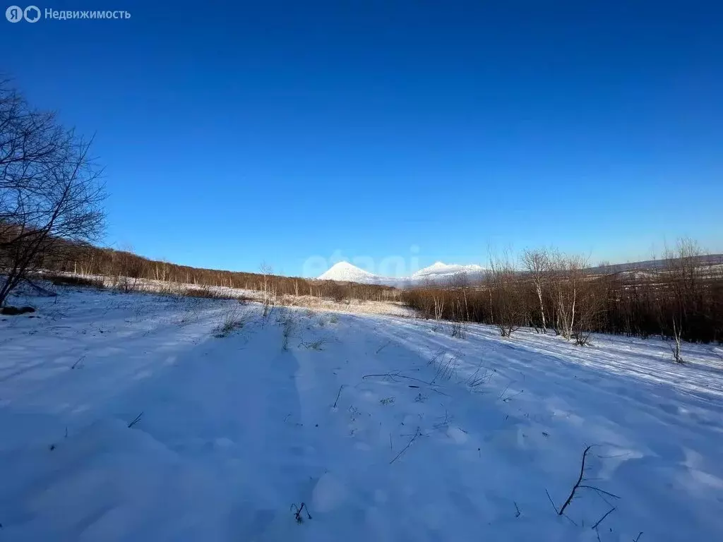 Участок в Елизово, микрорайон Садовый (8.1 м) - Фото 1