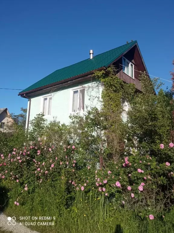 Дом в Ленинградская область, Кингисеппский район, Большелуцкое с/пос, ... - Фото 1