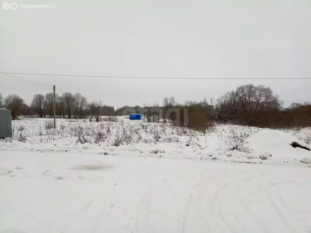 Участок в Бабынинский район, сельское поселение Утёшево, село Куракино ... - Фото 0