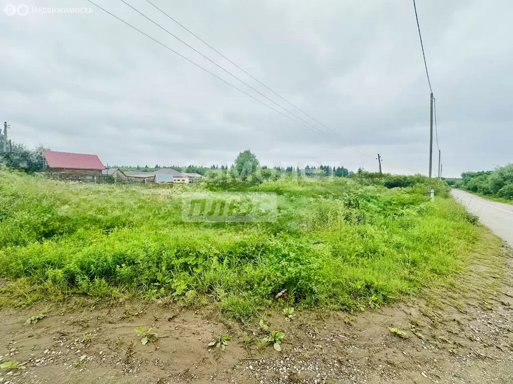 Участок в Чёрная, Луговая улица, 1Г (1500 м) - Фото 0