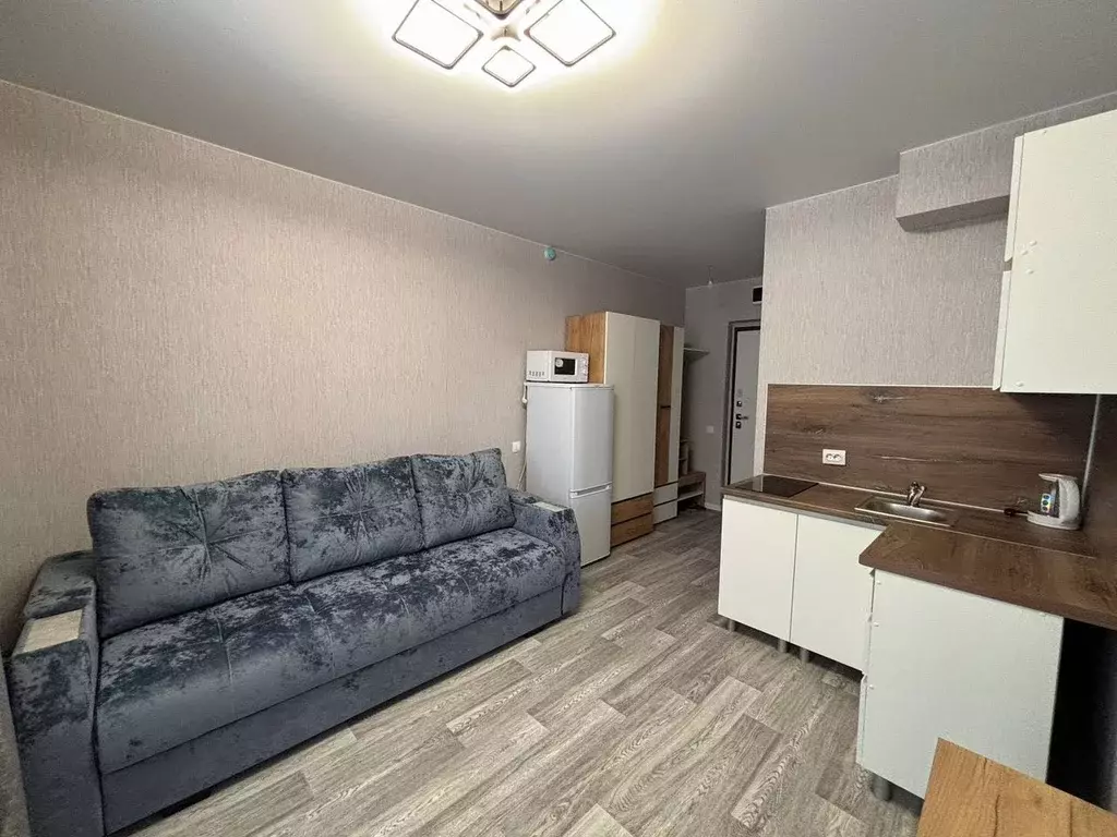 Студия Новосибирская область, Новосибирский район, Станционный ... - Фото 1