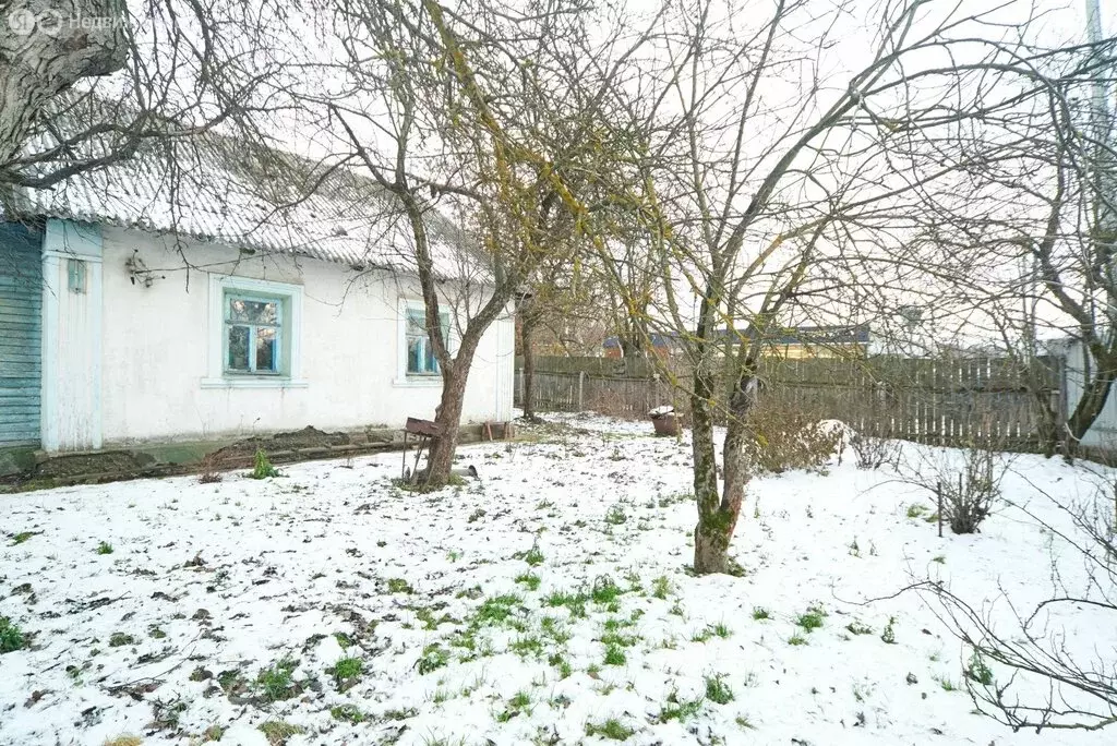 Дом в Ярославль, улица Шевелюха, 60 (55 м) - Фото 2