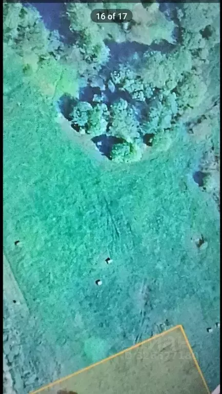 Участок в Новгородская область, Новгородский район, Трубичинское ... - Фото 2