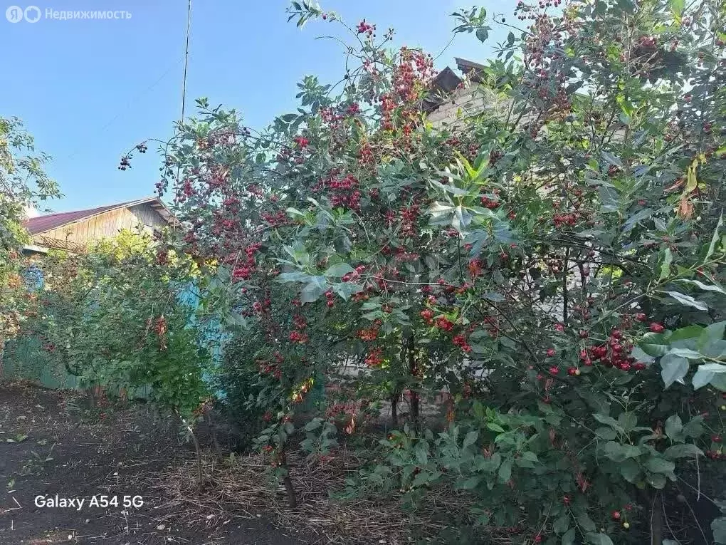 Дом в село Манеево, улица Циолковского (41.8 м) - Фото 2
