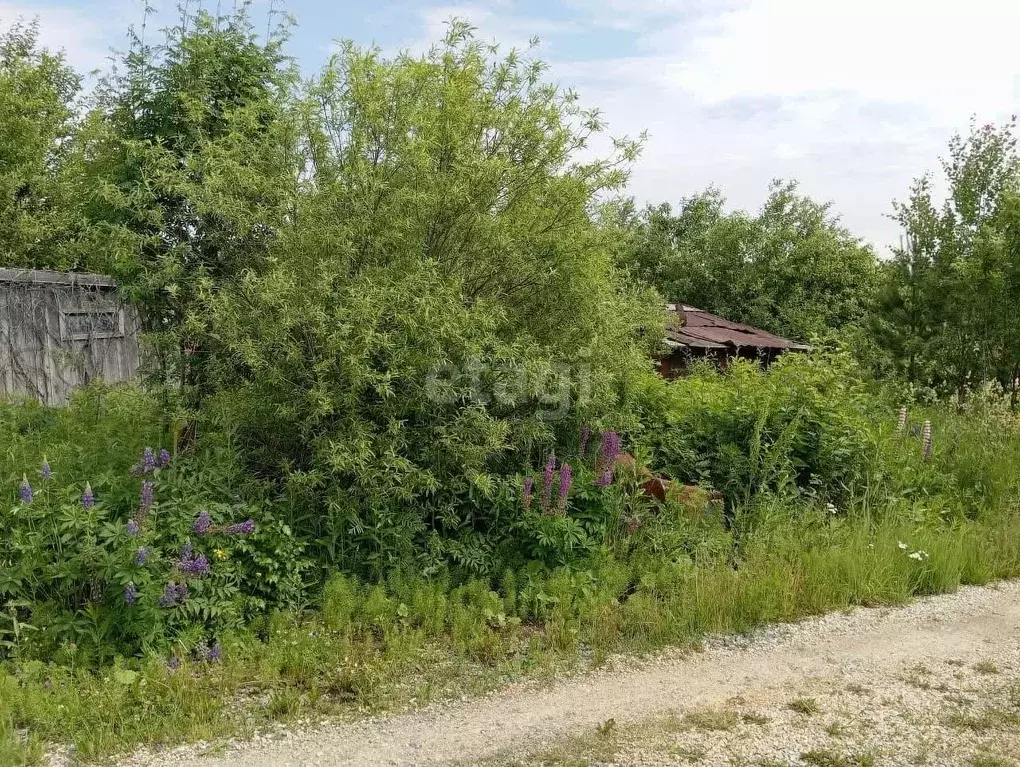 Участок в Свердловская область, Екатеринбург Надежда СНТ, 3 (10.0 ... - Фото 0