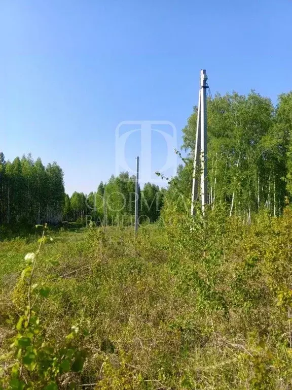 Участок в Челябинская область, Сосновский муниципальный округ, д. ... - Фото 1