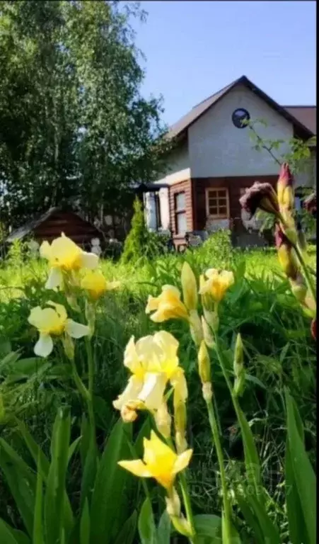 Дом в Ленинградская область, Всеволожский район, Колтушское городское ... - Фото 0