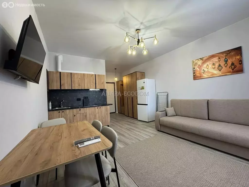 Квартира-студия: село Супсех, Серебряная улица, 118 (25 м) - Фото 2