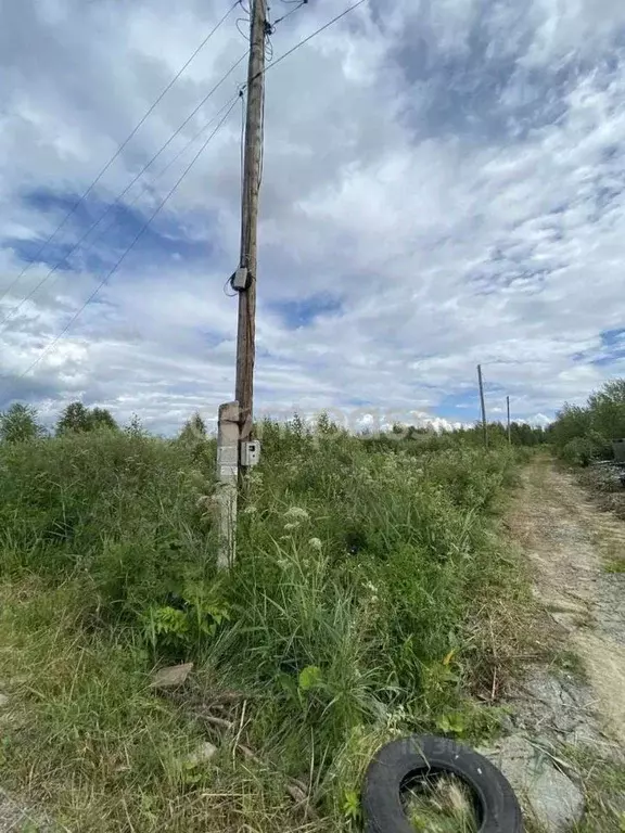 Участок в Тюменская область, Тюменский район, Майское СНТ ул. Розовая ... - Фото 0