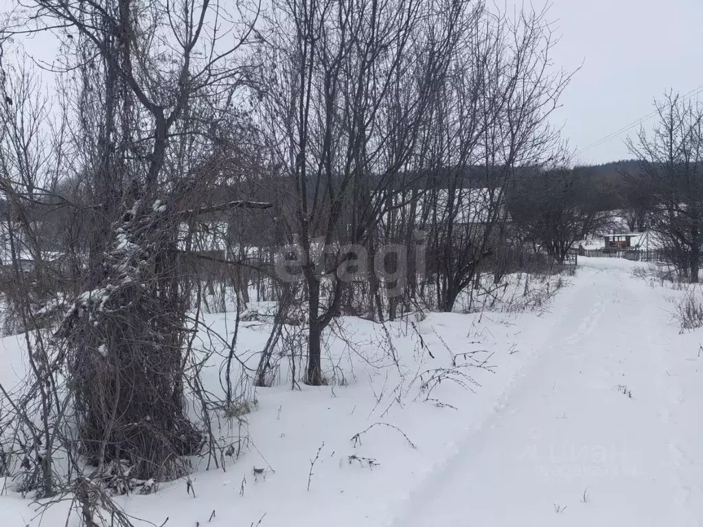 Участок в Белгородская область, Алексеевский муниципальный округ, ... - Фото 2