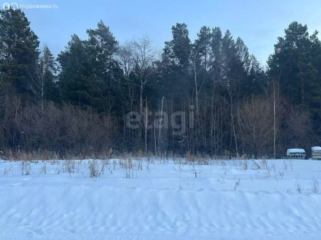 Участок в деревня Падерина, Зелёная улица (8 м) - Фото 0