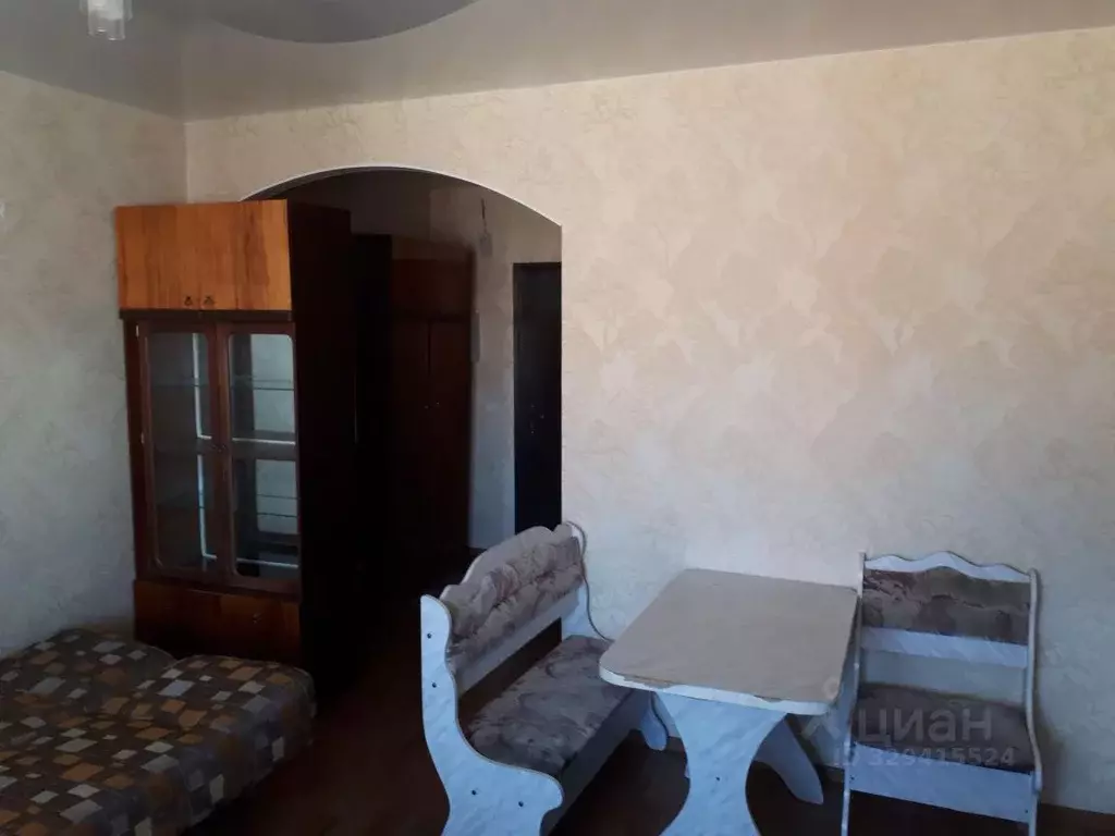 Студия Омская область, Омск ул. Малиновского, 18к3 (26.0 м) - Фото 2