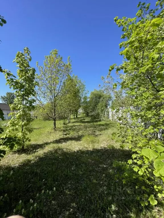 Участок в Кировская область, Слободской район, Ленинское с/пос, д. ... - Фото 1