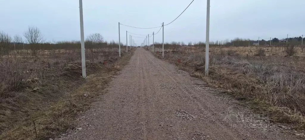 Участок в Ленинградская область, Ломоносовский район, Гостилицкое ... - Фото 1