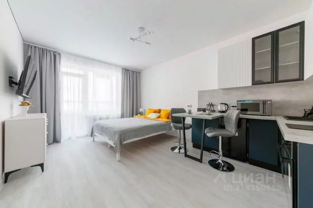1-к кв. Санкт-Петербург ул. Струве, 10к1 (24.0 м) - Фото 0