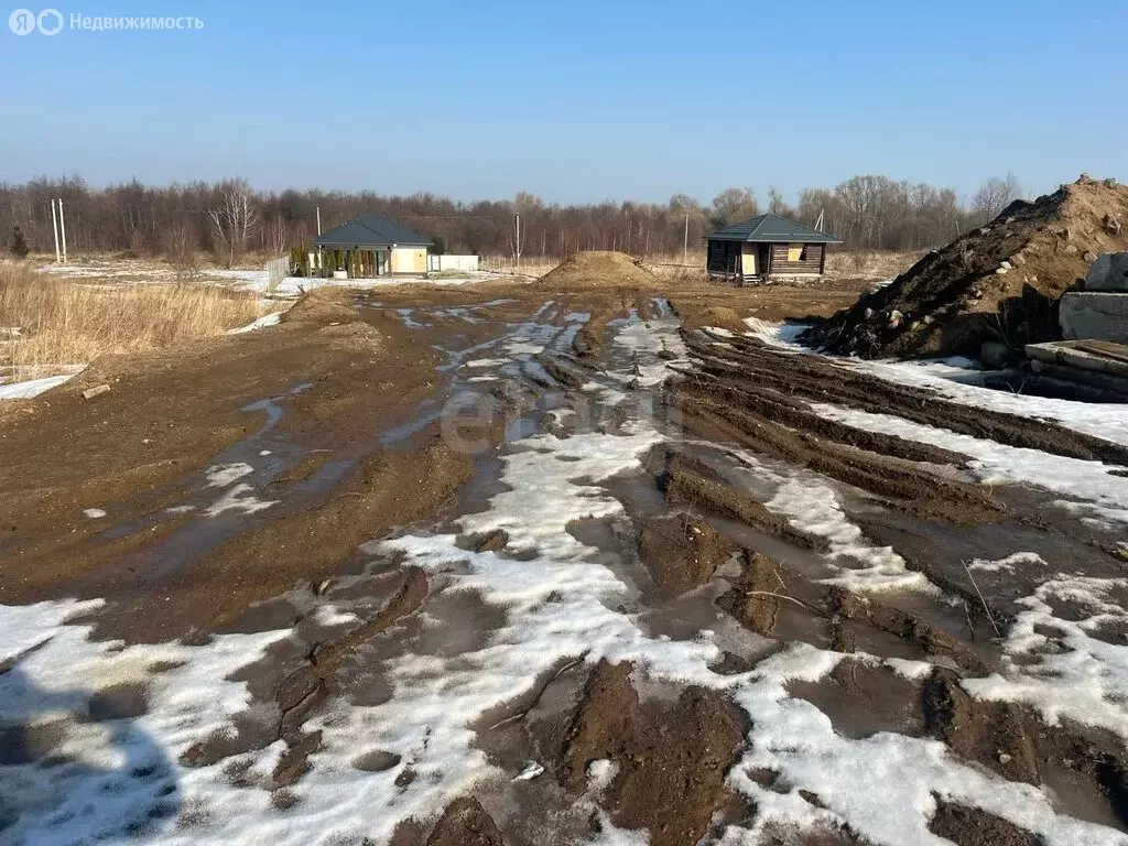 Участок в Калининградская область, Зеленоградский муниципальный округ, ... - Фото 1
