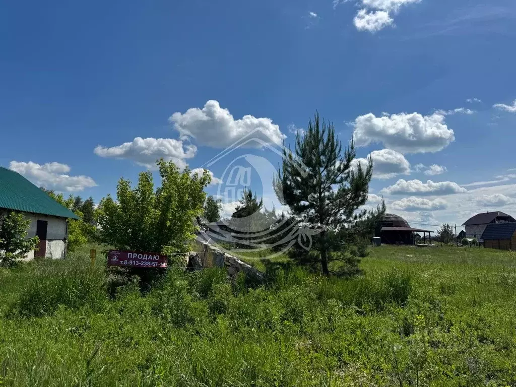 Участок в Алтайский край, Первомайский район, с. Фирсово, Рощино мкр ... - Фото 1