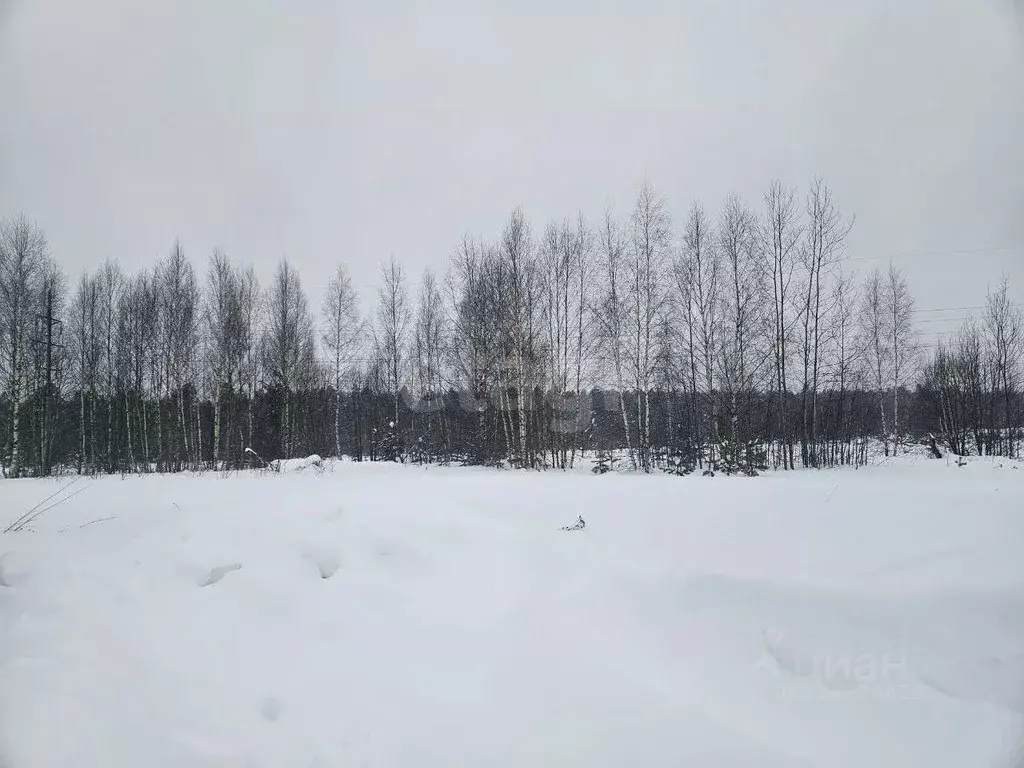 Участок в Владимирская область, Ковров ул. Отрадная (10.5 сот.) - Фото 2