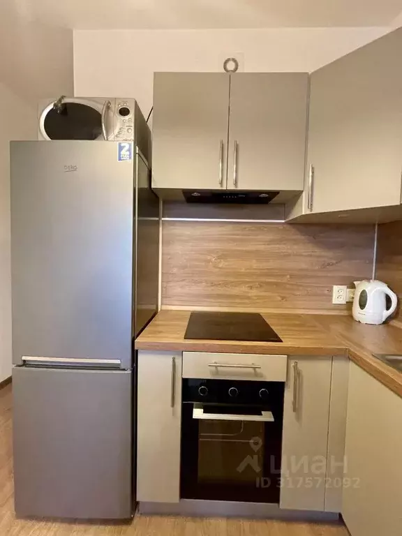 Студия Санкт-Петербург просп. Ветеранов, 171к2 (24.6 м) - Фото 1