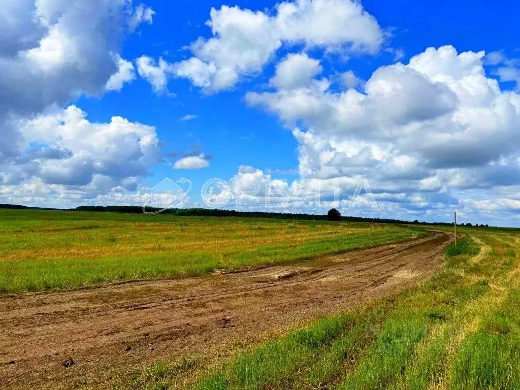Участок в Тюменская область, Тюменский район, Новокаменский кп  (11.0 ... - Фото 1