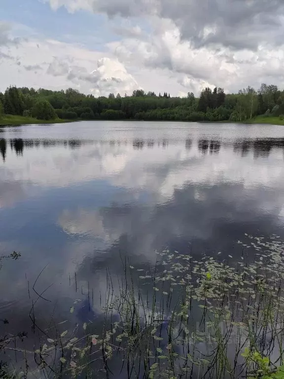 Участок в Новгородская область, Демянский муниципальный округ, д. ... - Фото 0