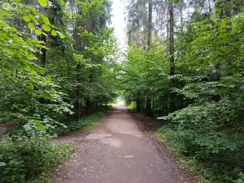 Участок в Московская область, городской округ Мытищи, село Троицкое ... - Фото 2
