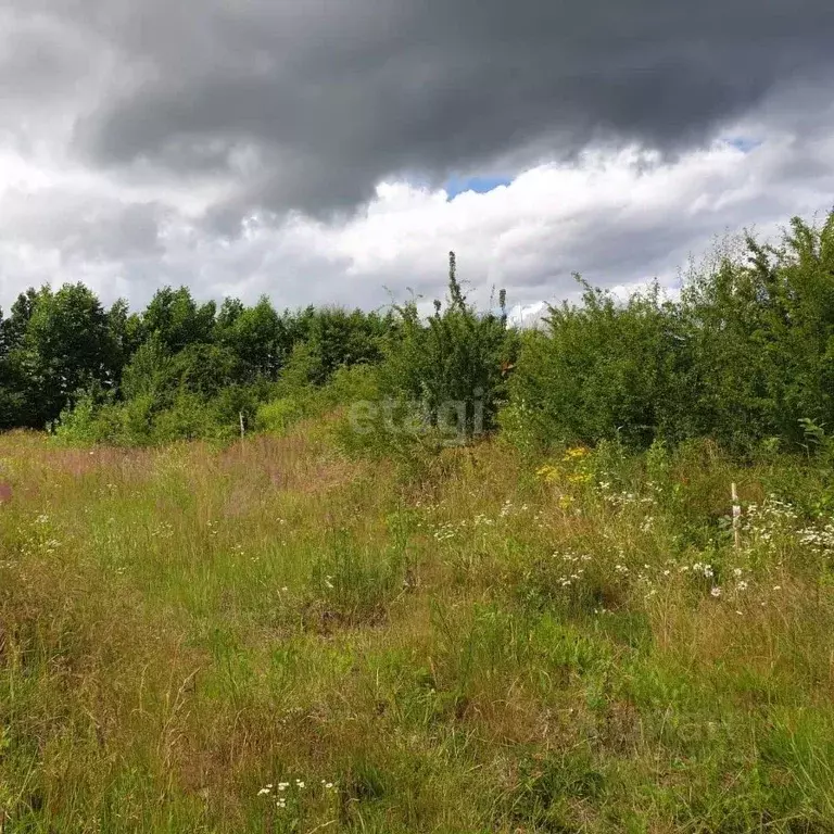Участок в Калининградская область, Гурьевский муниципальный округ, ... - Фото 1