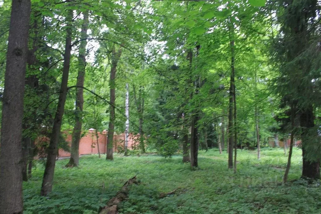 Участок в Московская область, Одинцовский городской округ, д. ... - Фото 1