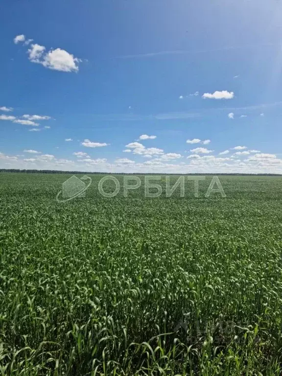 Участок в Тюменская область, Тюменский муниципальный округ, пос. ... - Фото 2