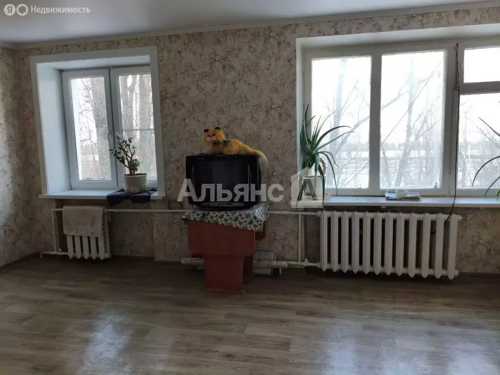 1-комнатная квартира: Волгодонск, Морская улица, 104 (26.2 м) - Фото 0