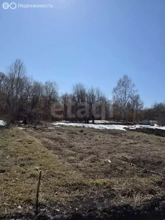 Участок в Благовещенск, СТ Подснежник (6.7 м) - Фото 2