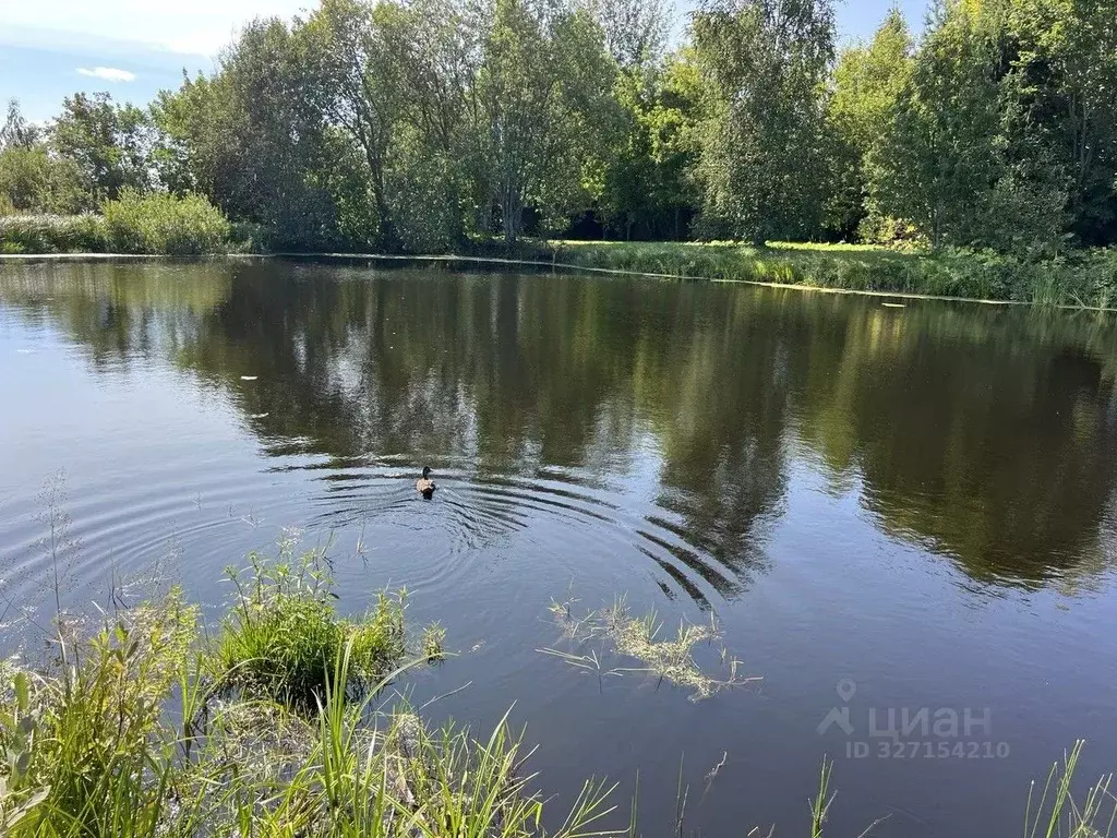 Участок в Московская область, Рузский муниципальный округ, д. Сафониха ... - Фото 1