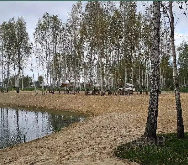 Участок в Тюменская область, Нижнетавдинский муниципальный округ, ... - Фото 1