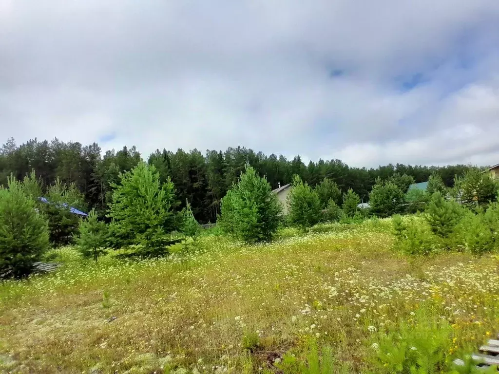 участок в пермский край, соликамский городской округ, д. чертеж ул. . - Фото 0