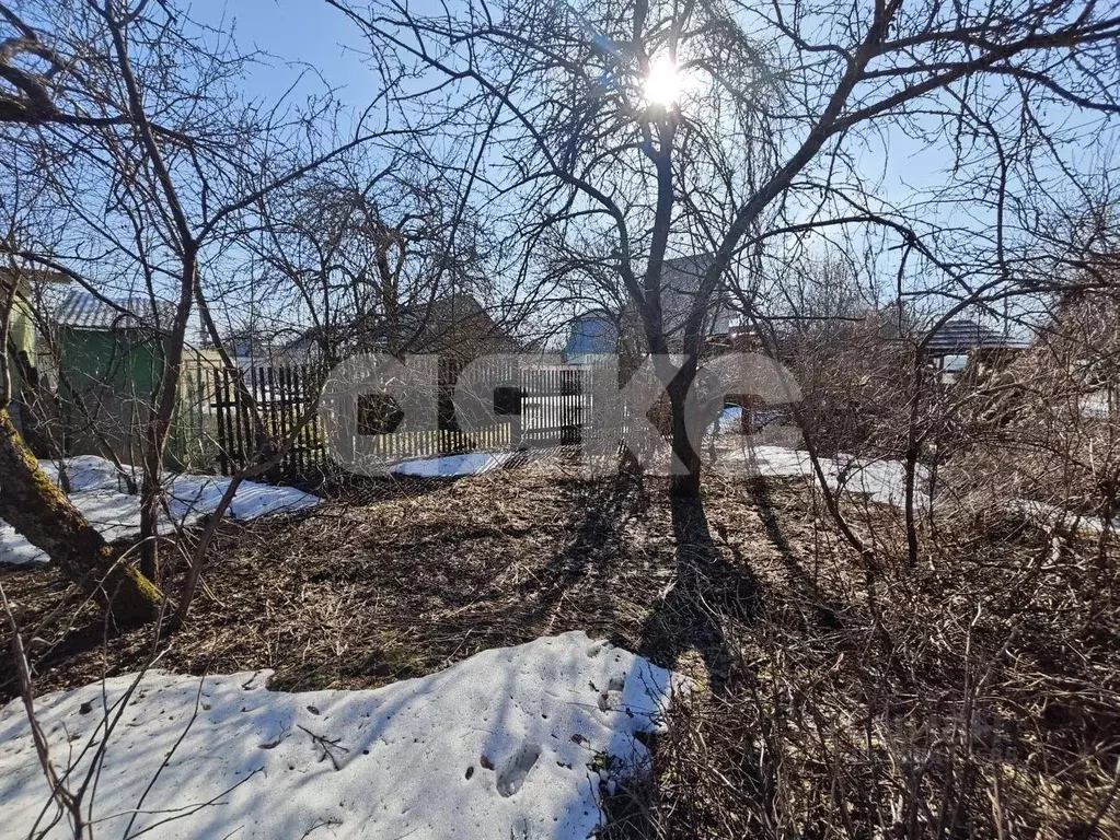 Участок в Московская область, Раменский муниципальный округ, Полет СНТ ... - Фото 2