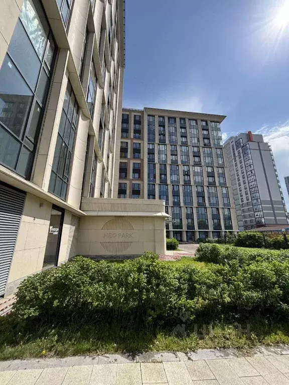 Студия Санкт-Петербург Московское ш., 3к5 (34.2 м) - Фото 1