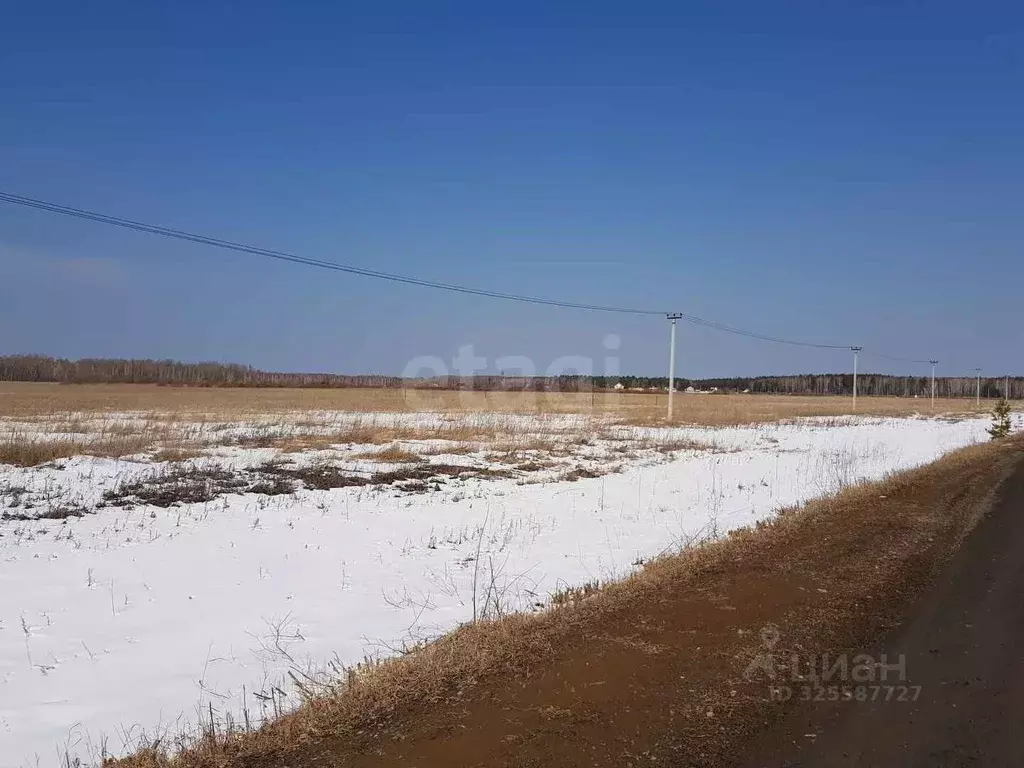 Участок в Тюменская область, Тюменский муниципальный округ, с. Кулига, ... - Фото 2
