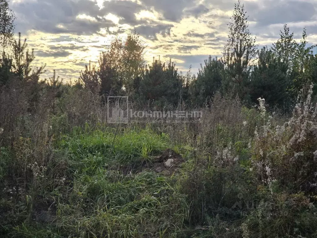 Участок в Владимирская область, Ковровский район, Доброград ... - Фото 1