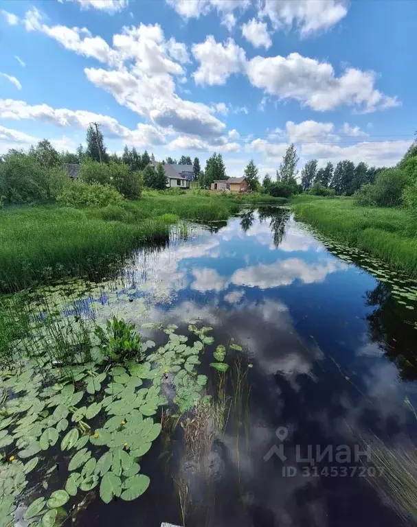 Дом в Карелия, Пряжинский район, с. Ведлозеро Советская ул., 11А (92 ... - Фото 1