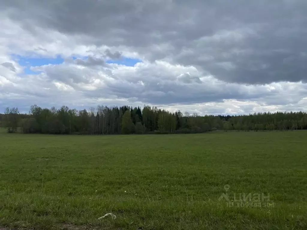 Участок в Ярославская область, Переславль-Залесский муниципальный ... - Фото 0