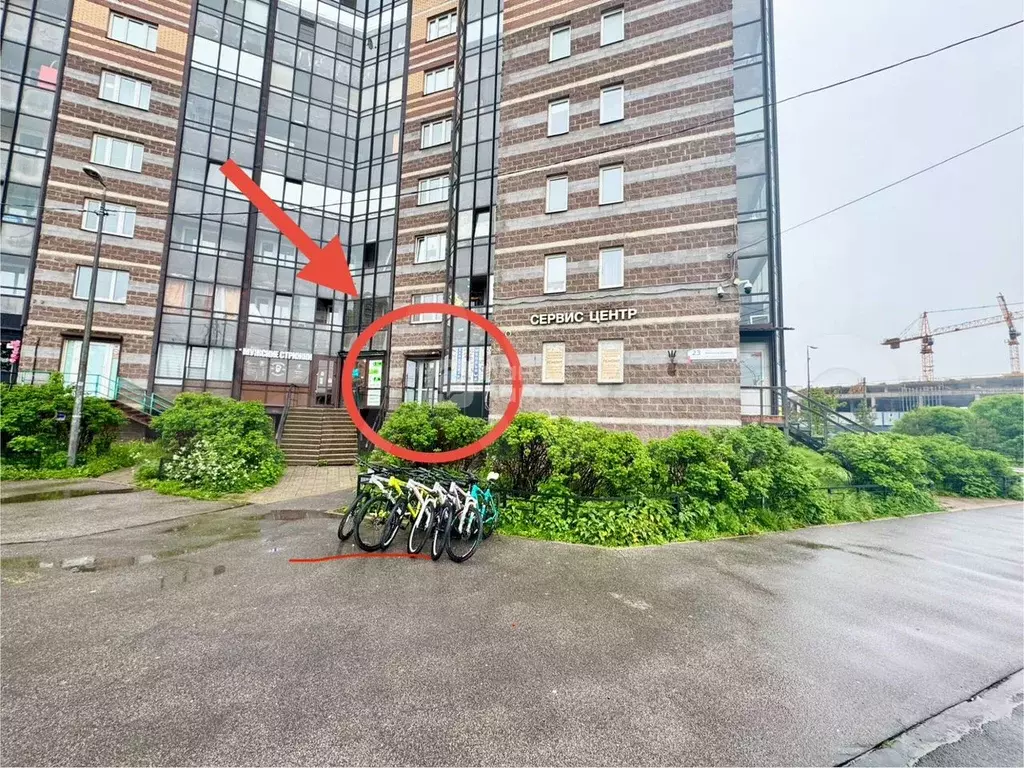 Сдам помещение свободного назначения, 45 м - Фото 1