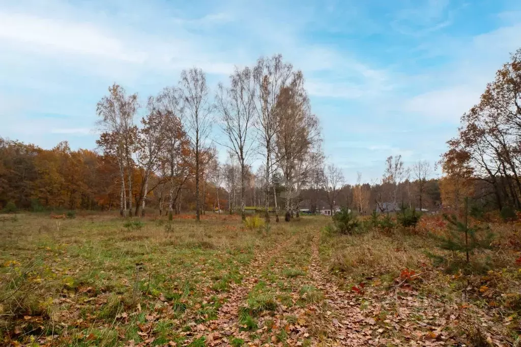 Участок в Калининградская область, Калининград Заводской пер. (8.53 ... - Фото 1