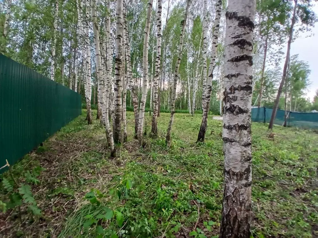 Участок в Московская область, Павловский Посад  (9.0 сот.) - Фото 1