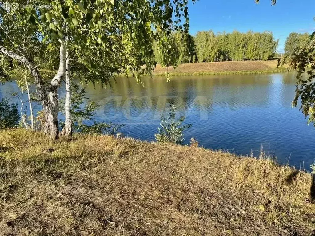 Участок в Тюменский муниципальный округ, деревня Малиновка (11 м) - Фото 1