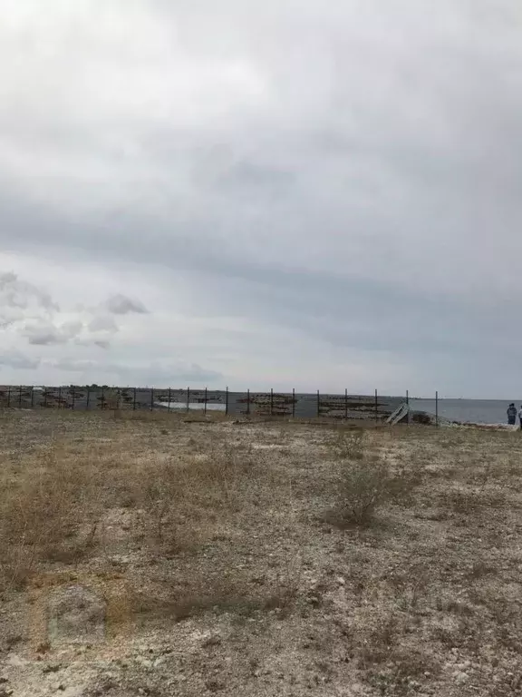 Участок в Крым, Евпатория городской округ, Новоозерное пгт пл. ... - Фото 1