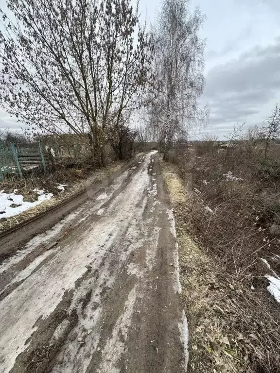 Участок в Брянская область, Брянский район, Супоневское с/пос, Чайка ... - Фото 2