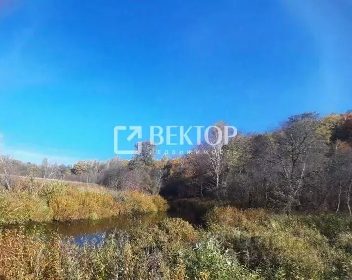 Участок в Костромская область, Красносельский район, Шолоховское ... - Фото 1